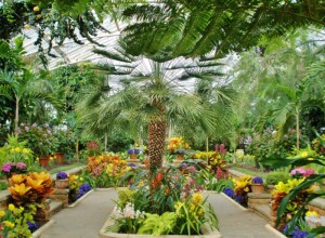 Тропический зимний сад, livejournal.com