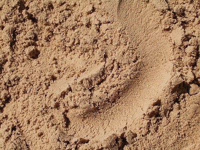 Карьерный мытый песок, tdnerud.ru