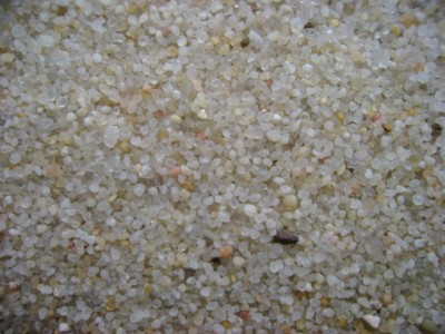На фото крупнозернистый речной песок, resurs.ua