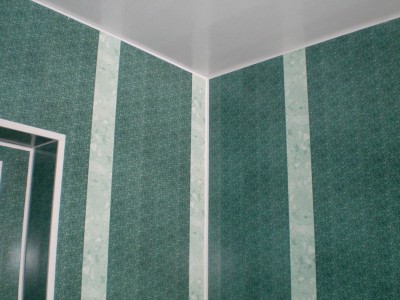 На снимке ванная комната с ПВХ панелями на стенах